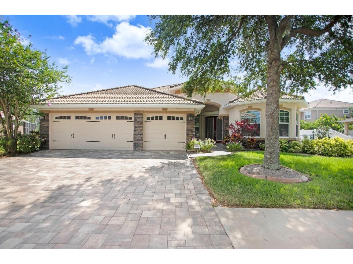 8929 New Alexandria Loop New Port Richey FL 34654 T3456784 image1