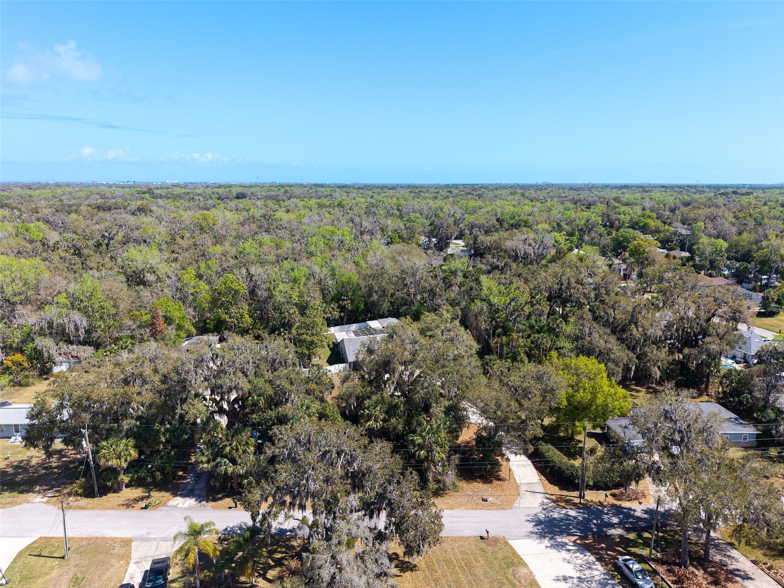 893 Bolton Road New Smyrna Beach FL 32168 NS1087498 image49