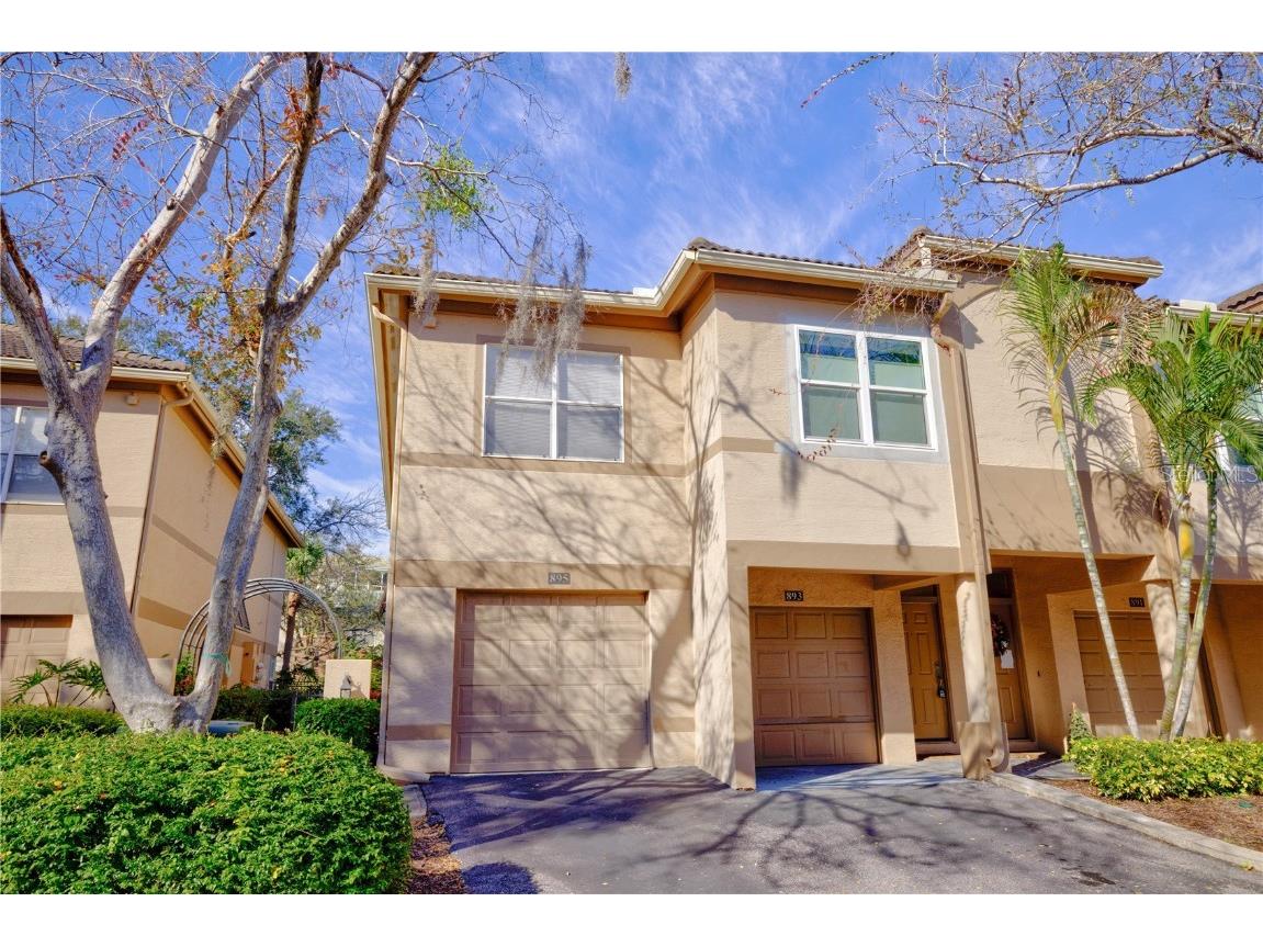 893 Normandy Trace Road Tampa FL 33602 T3499090 image1