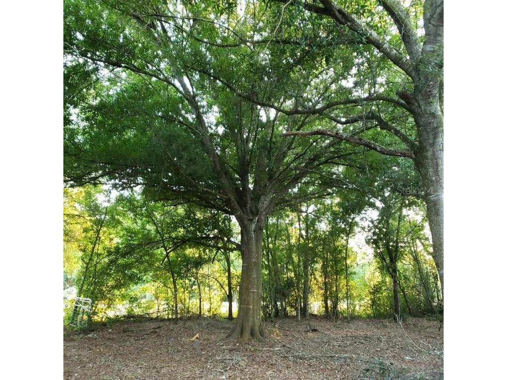 893 NW 113th Drive Okeechobee FL 34972 O6087388 image1