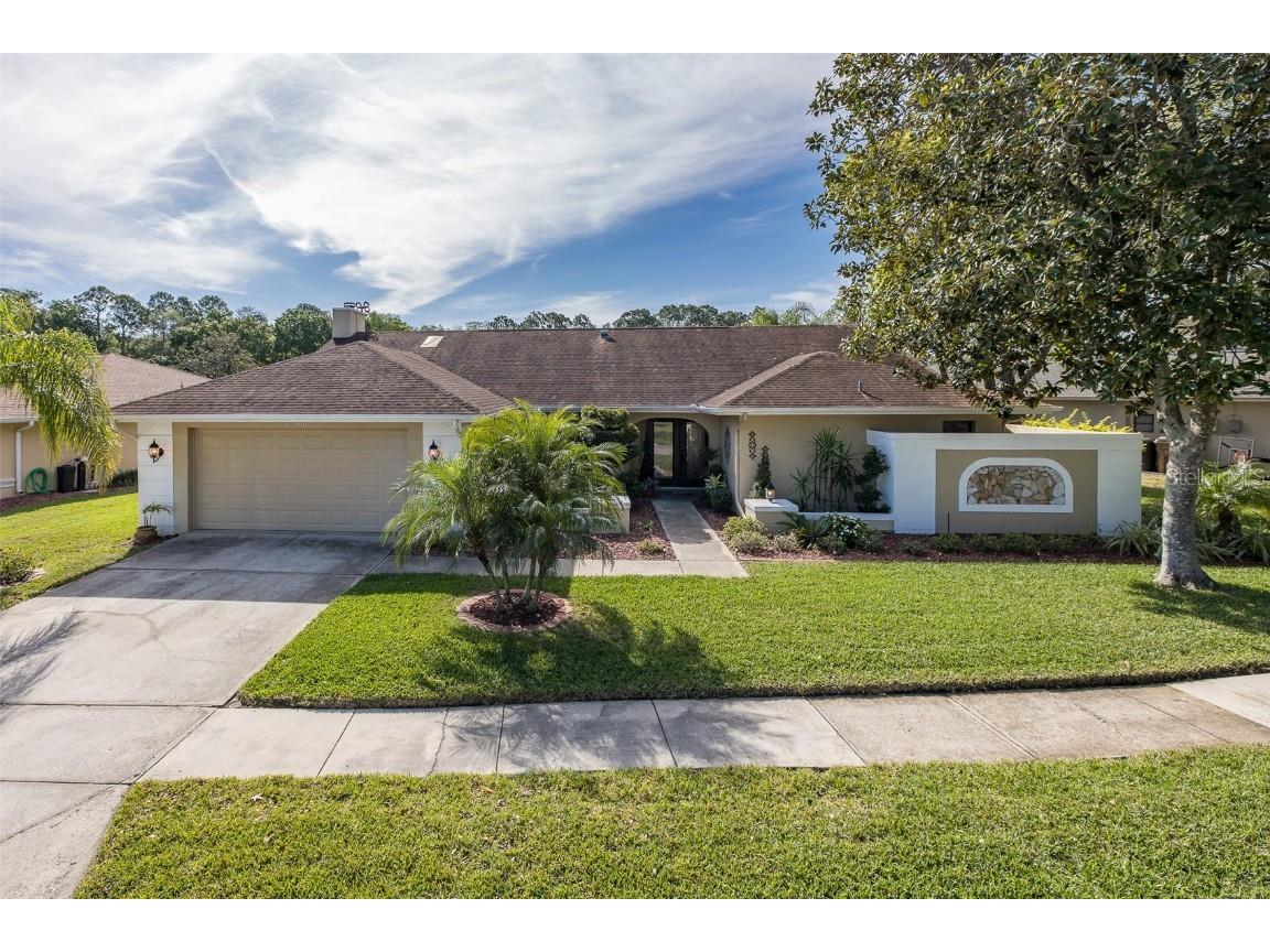 8930 Brooker Drive New Port Richey FL 34655 W7863491 image1