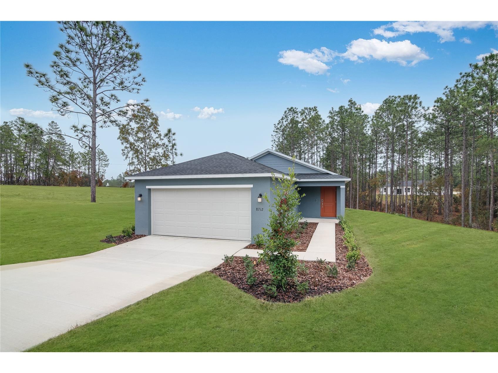 8930 SW 128th Place Ocala FL 34473 O6402843 image2