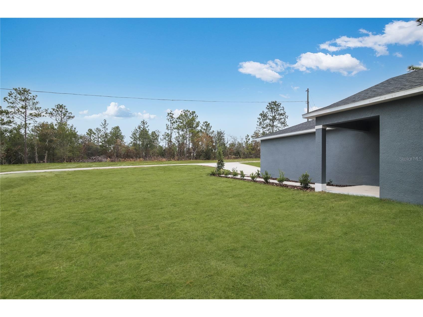 8930 SW 128th Place Ocala FL 34473 O6402843 image3