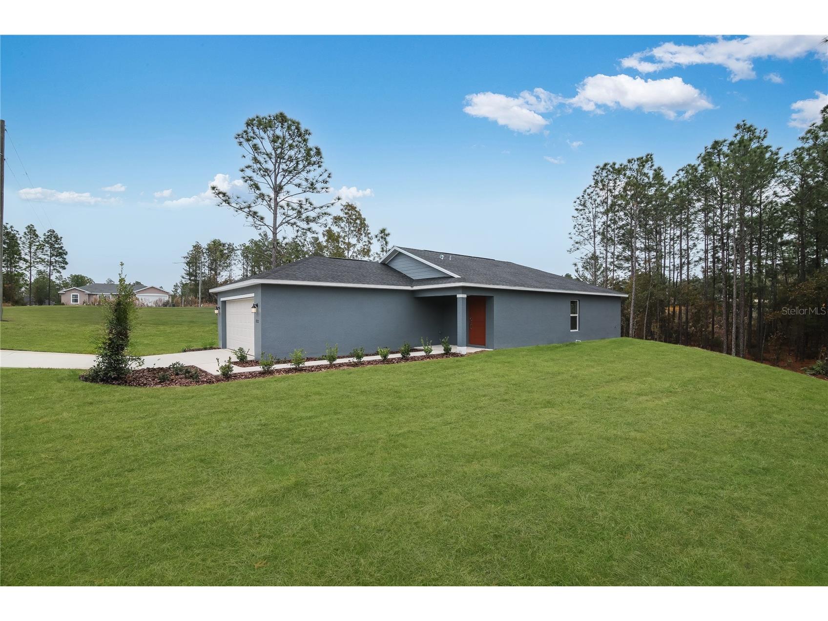 8930 SW 128th Place Ocala FL 34473 O6402843 image4