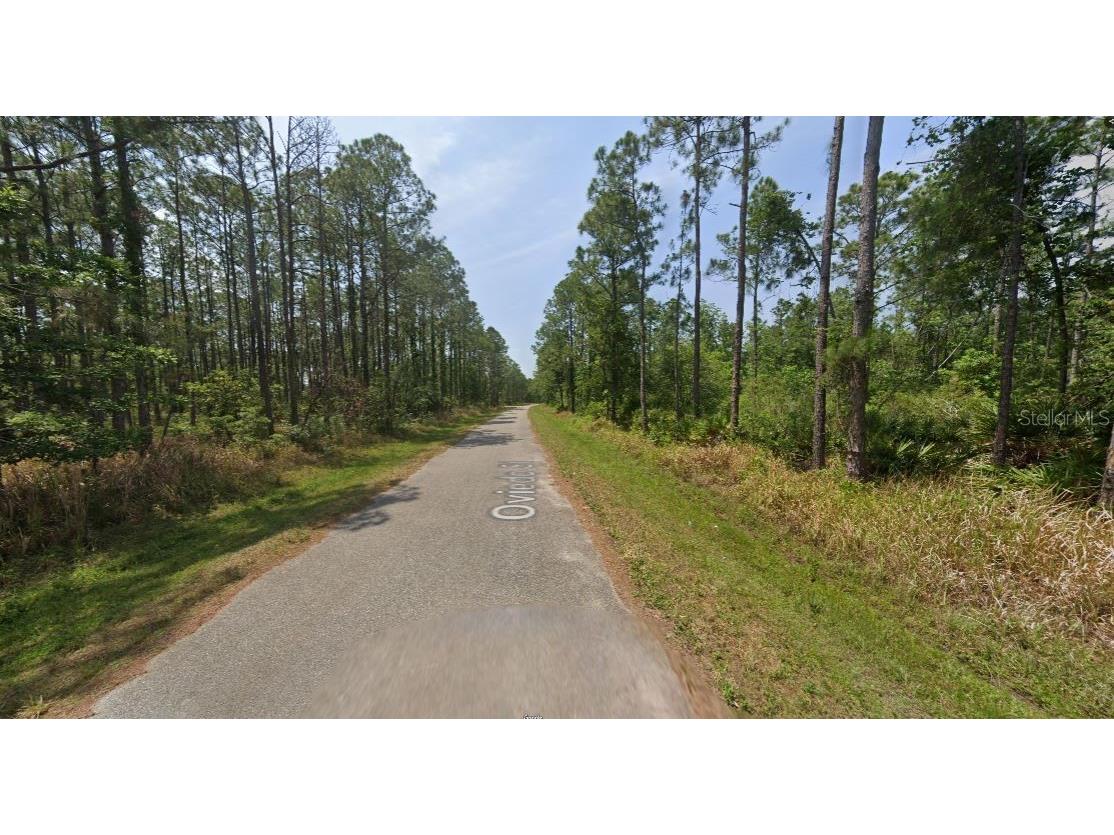 8931 Oviedo Street Sebring FL 33872 G5107832 image1