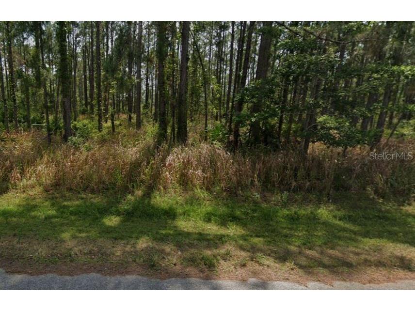 8931 Oviedo Street Sebring FL 33872 G5107832 image13