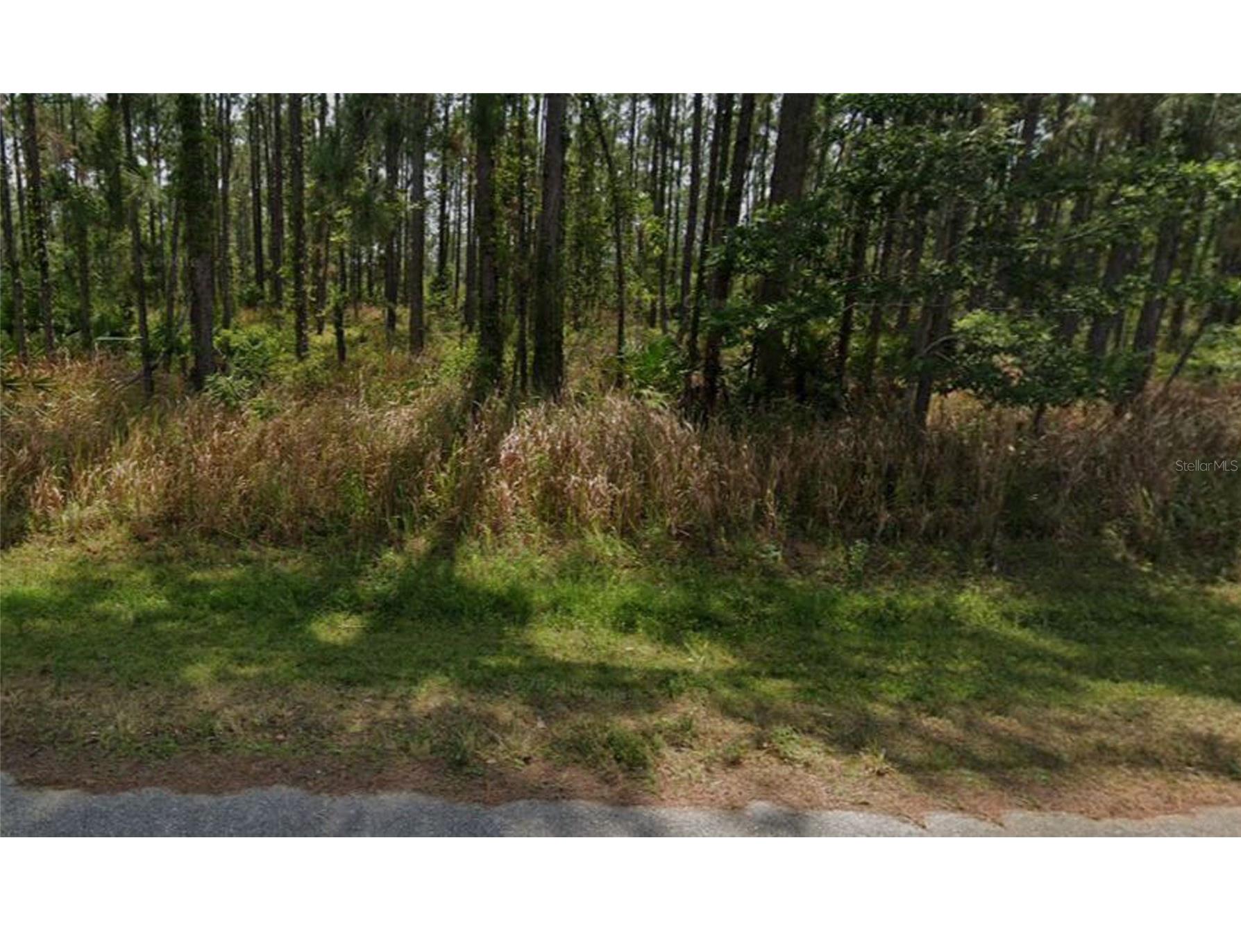 8931 Oviedo Street Sebring FL 33872 G5107832 image7