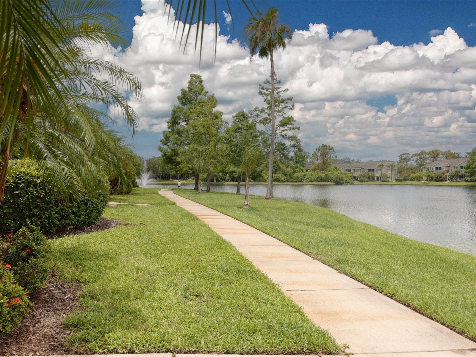 8933 Manor Loop #105 Bradenton FL 34202 A4696519 image31