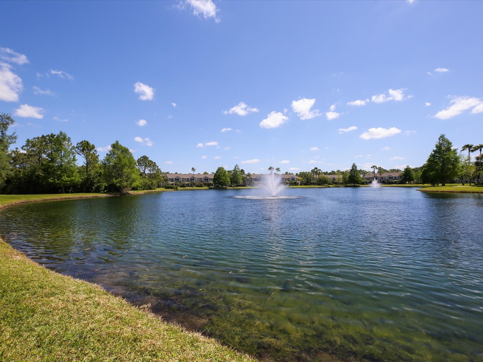 8933 Manor Loop #105 Bradenton FL 34202 A4696519 image43