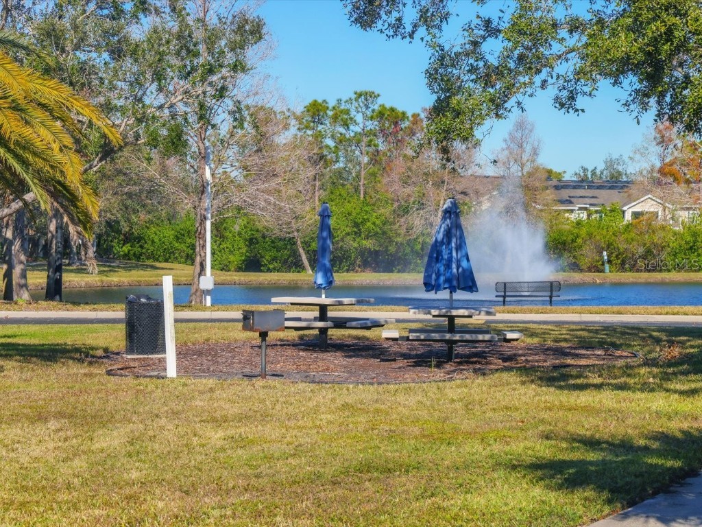 8933 Manor Loop #105 Lakewood Ranch FL 34202 A4654918 image41