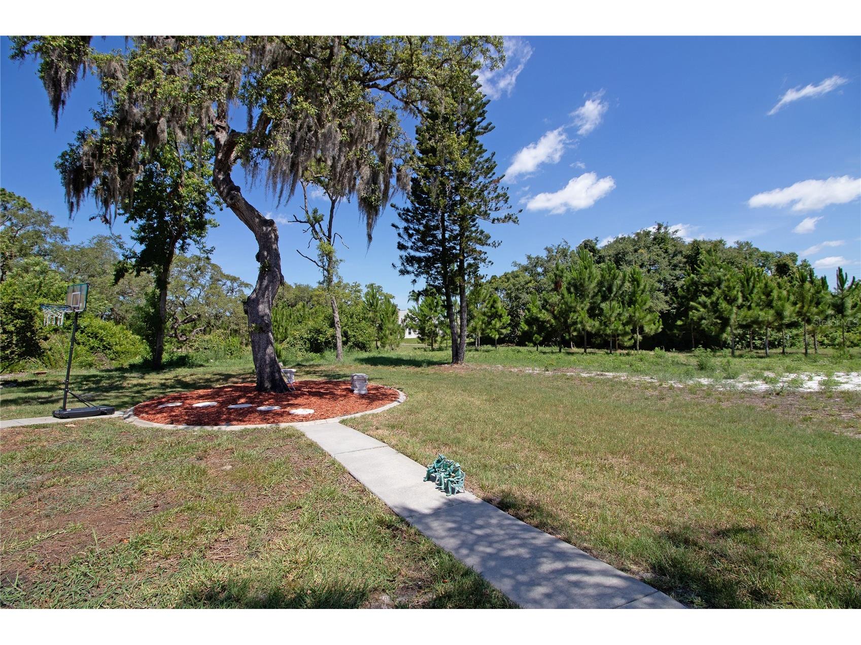 8933 Thoreau Place Hudson FL 34667 TB8517225 image76