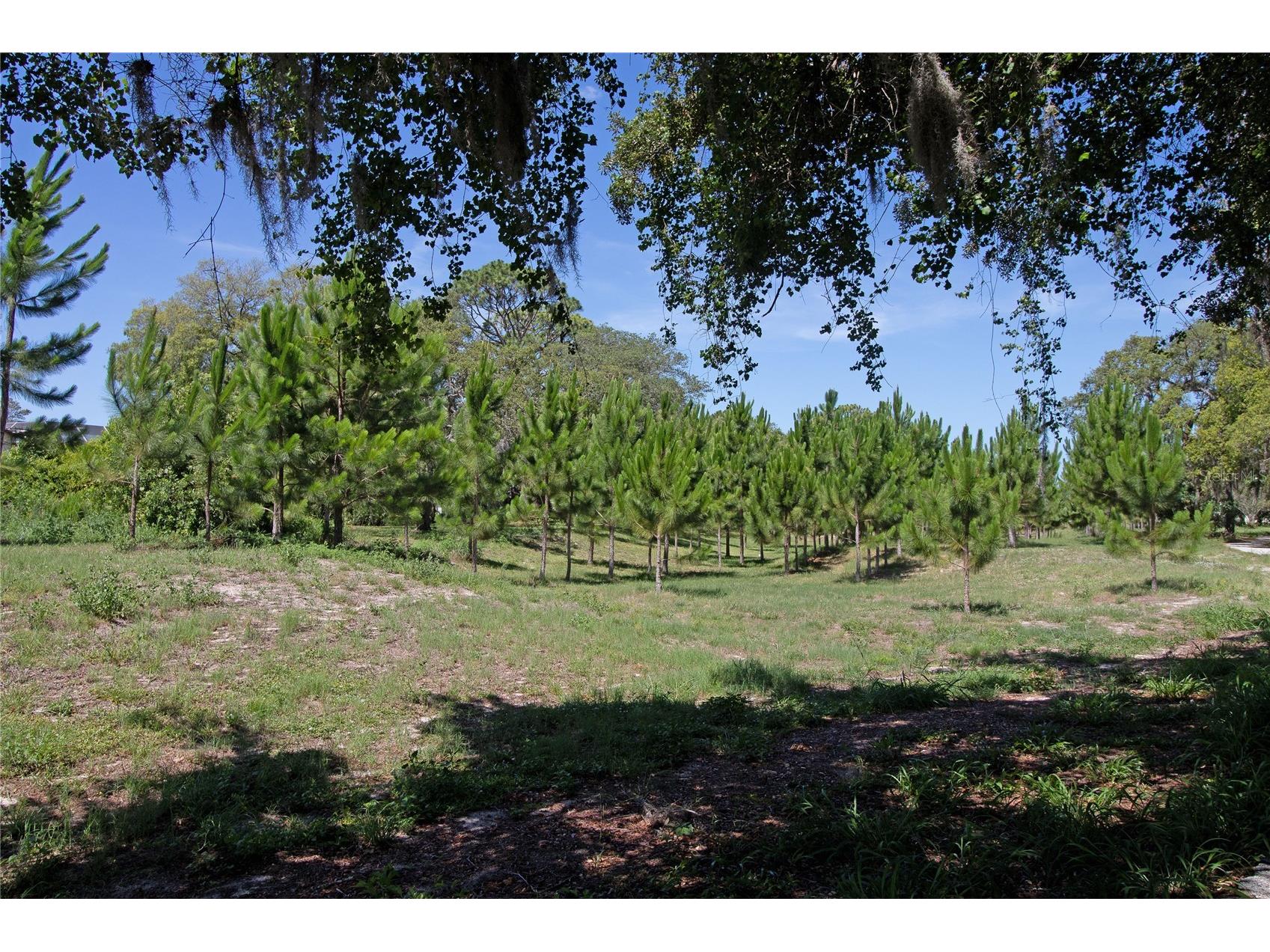 8933 Thoreau Place Hudson FL 34667 TB8517225 image79