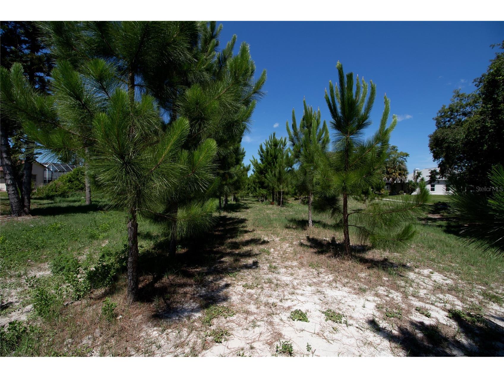 8933 Thoreau Place Hudson FL 34667 TB8517225 image82