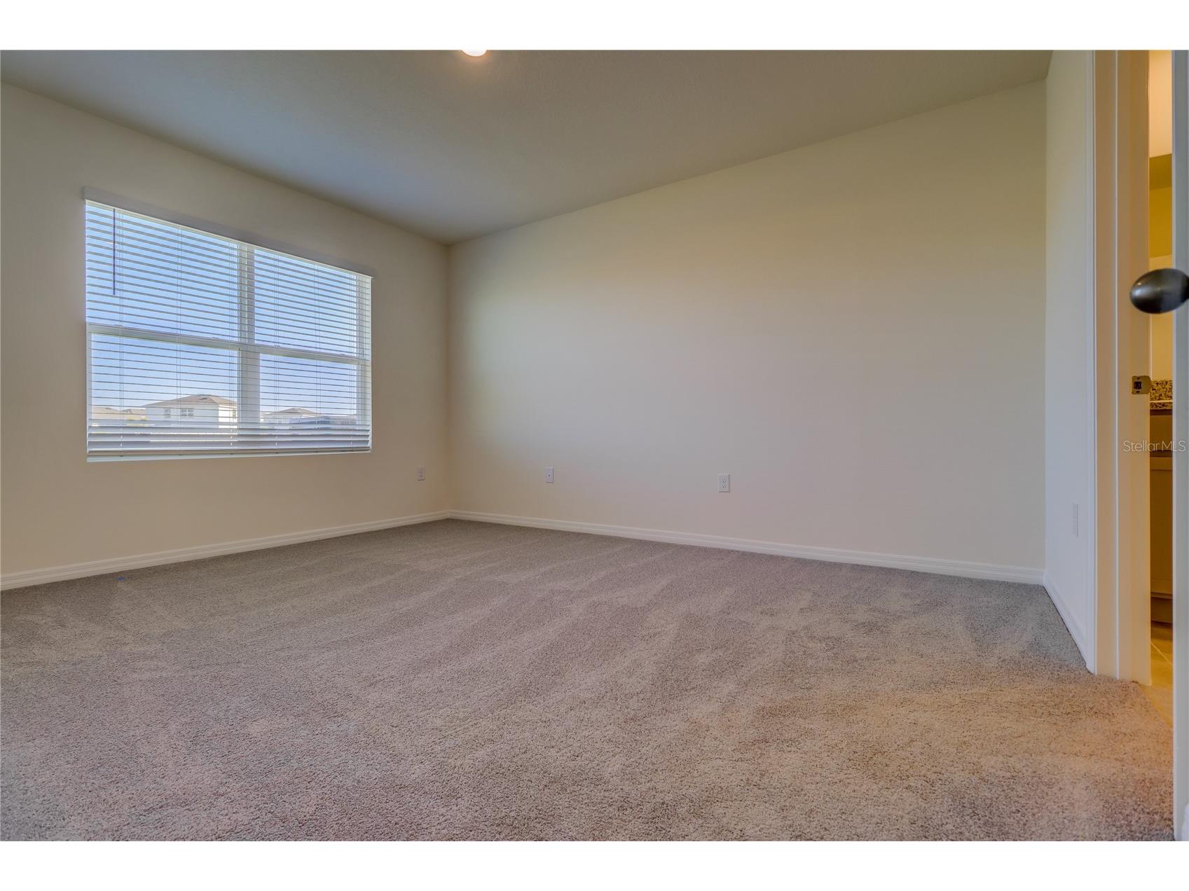 8934 Forge Breeze Loop Wesley Chapel FL 33545 TB8516730 image19