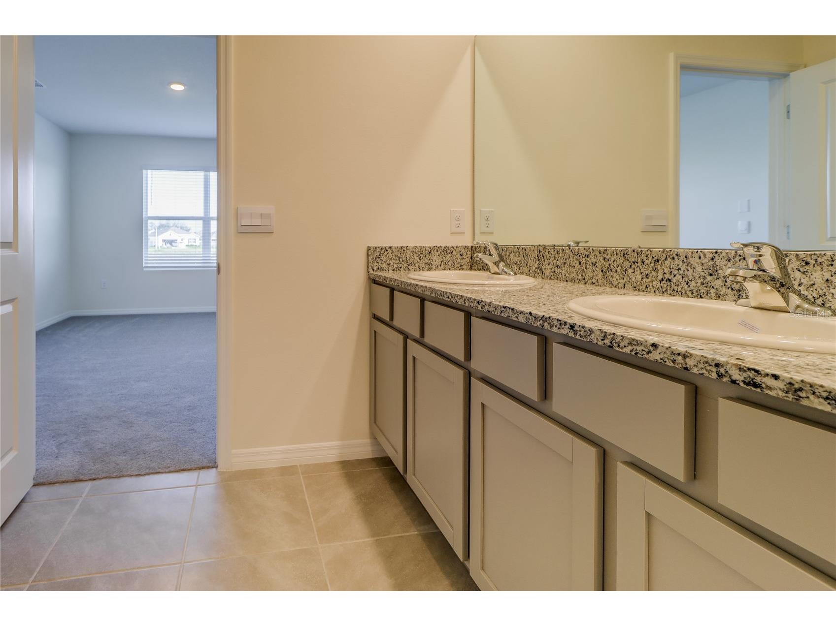 8934 Forge Breeze Loop Wesley Chapel FL 33545 TB8516730 image21