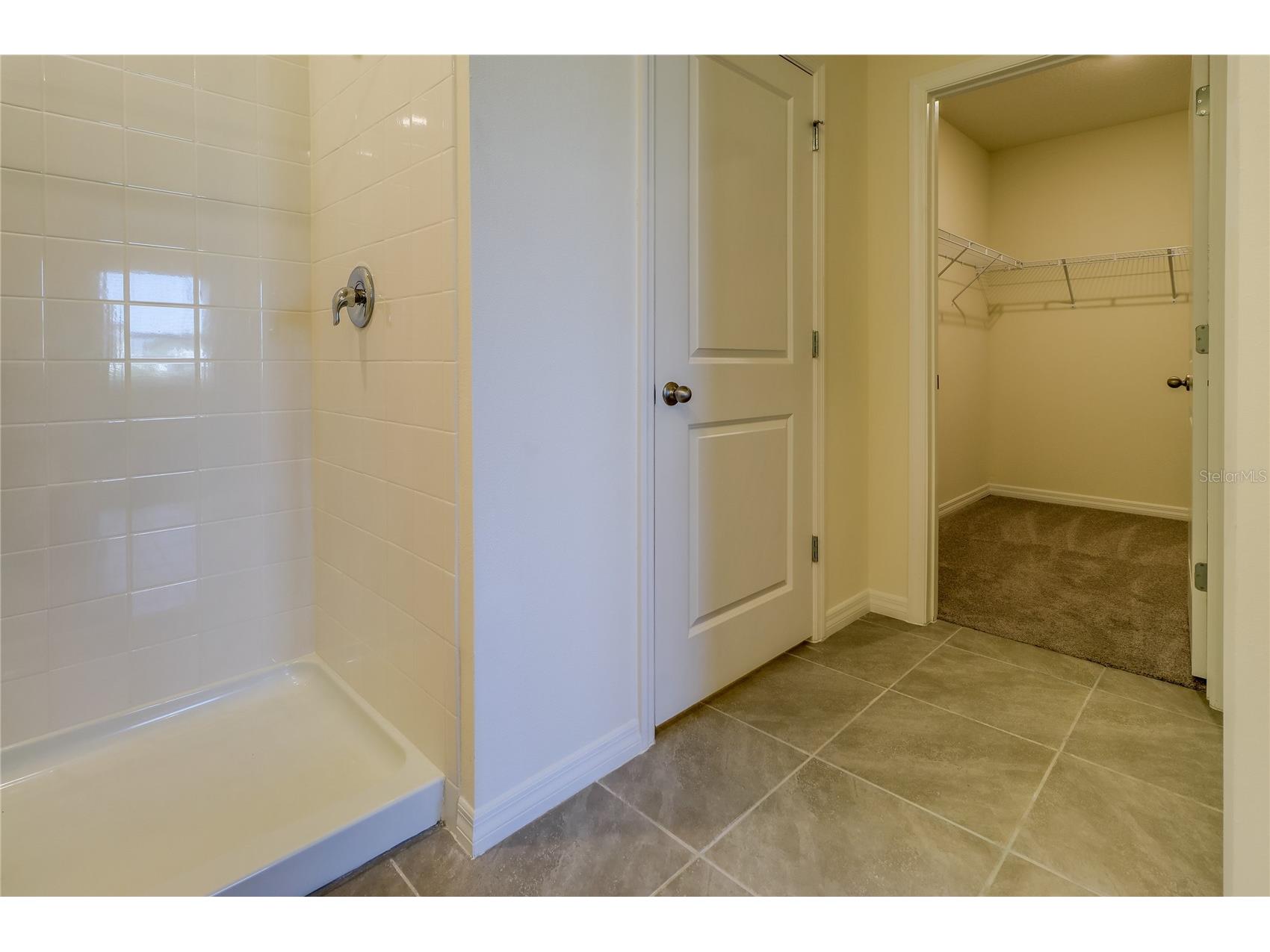 8934 Forge Breeze Loop Wesley Chapel FL 33545 TB8516730 image22