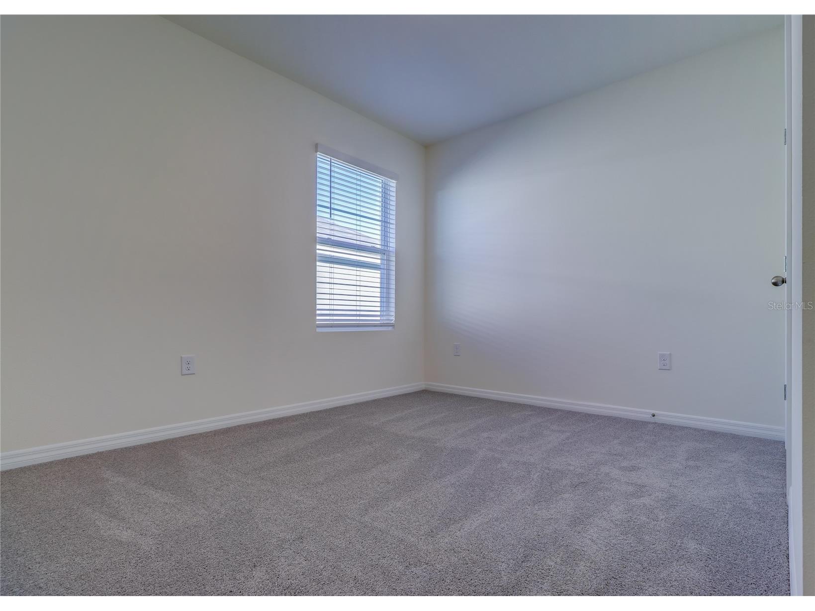 8934 Forge Breeze Loop Wesley Chapel FL 33545 TB8516730 image23