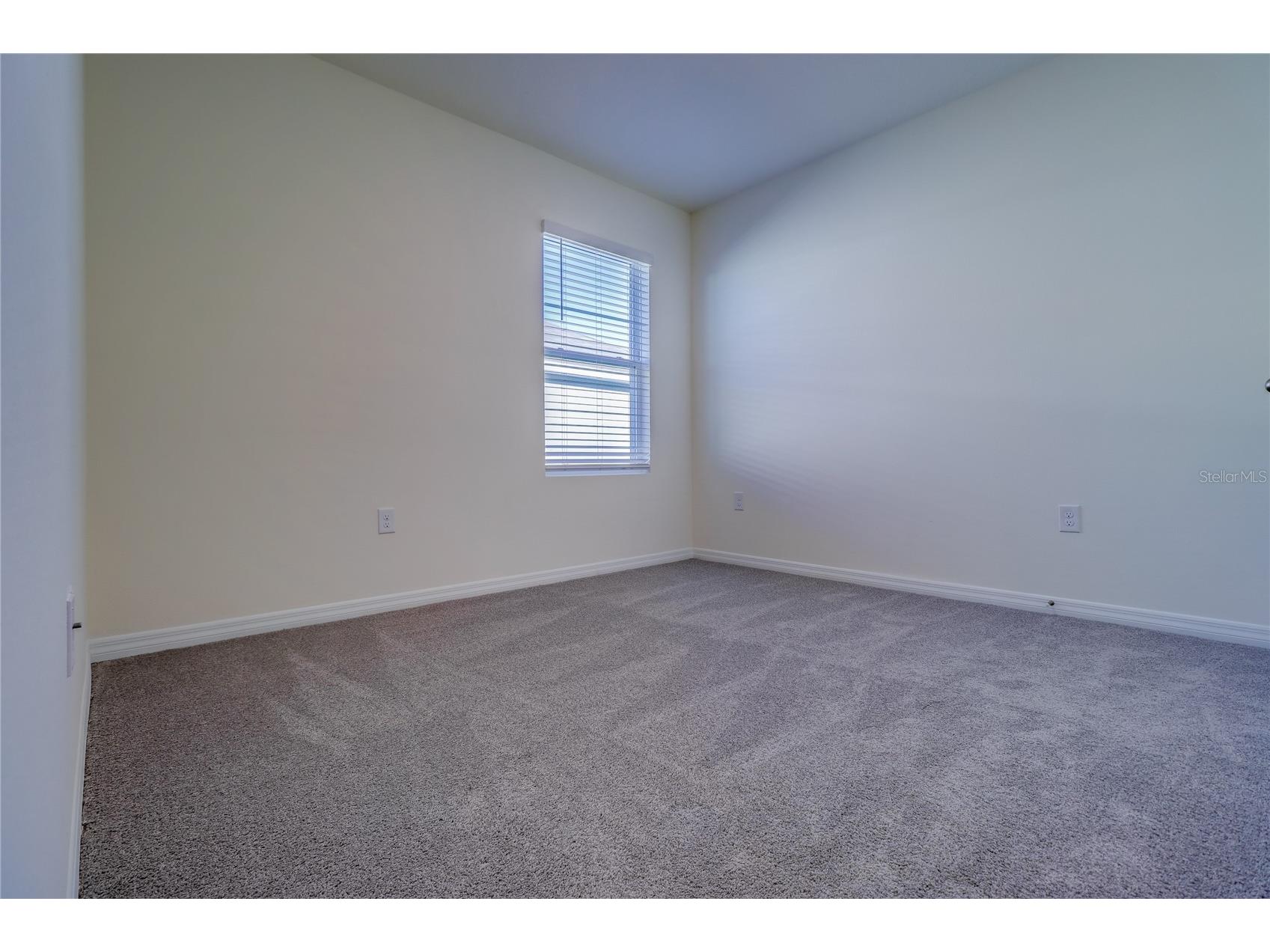 8934 Forge Breeze Loop Wesley Chapel FL 33545 TB8516730 image24