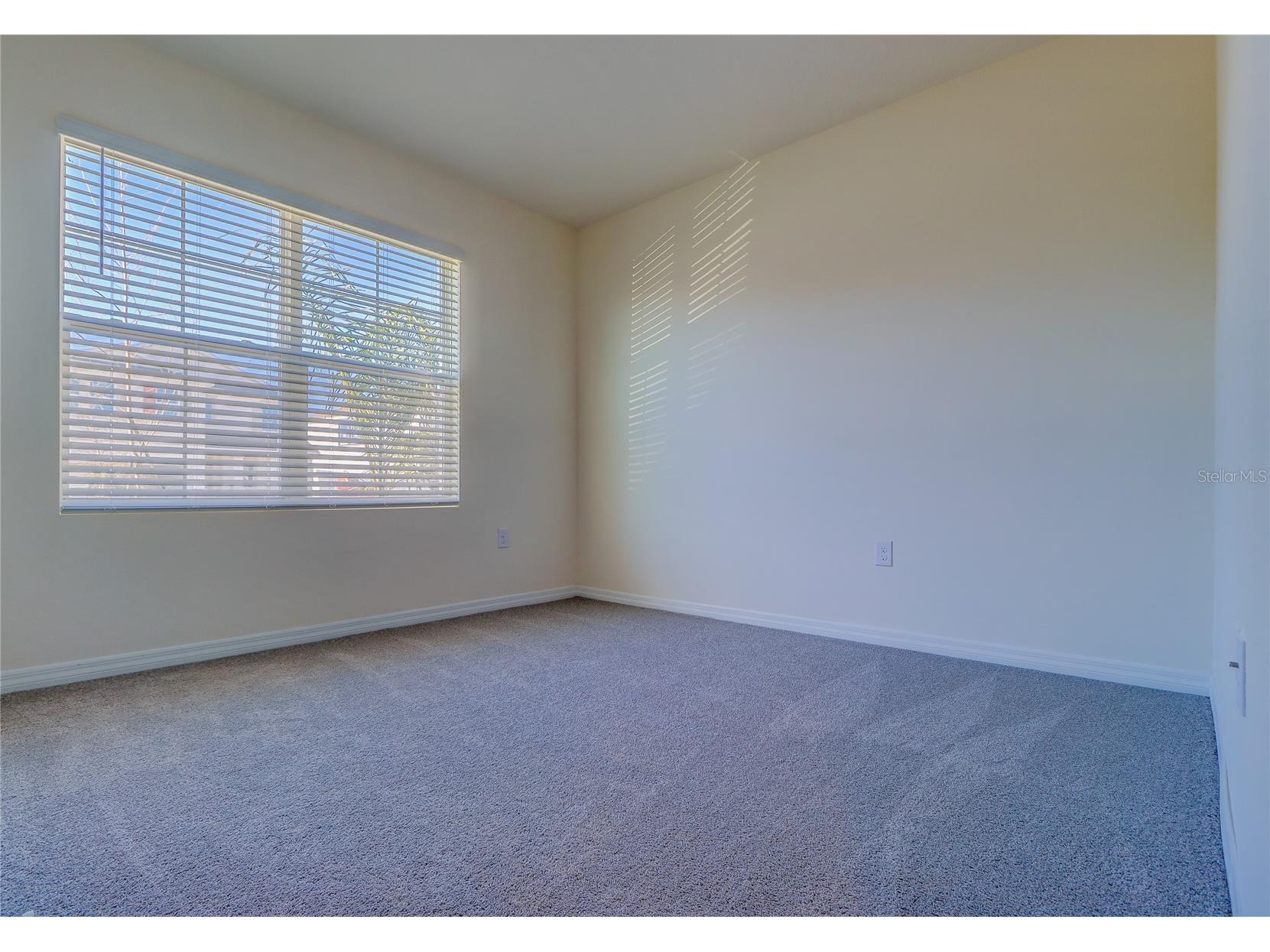 8934 Forge Breeze Loop Wesley Chapel FL 33545 TB8516730 image26