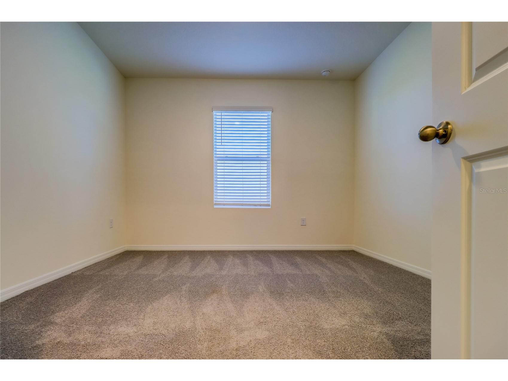 8934 Forge Breeze Loop Wesley Chapel FL 33545 TB8516730 image28