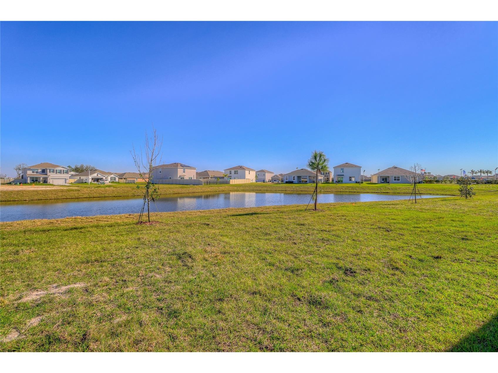 8934 Forge Breeze Loop Wesley Chapel FL 33545 TB8516730 image3