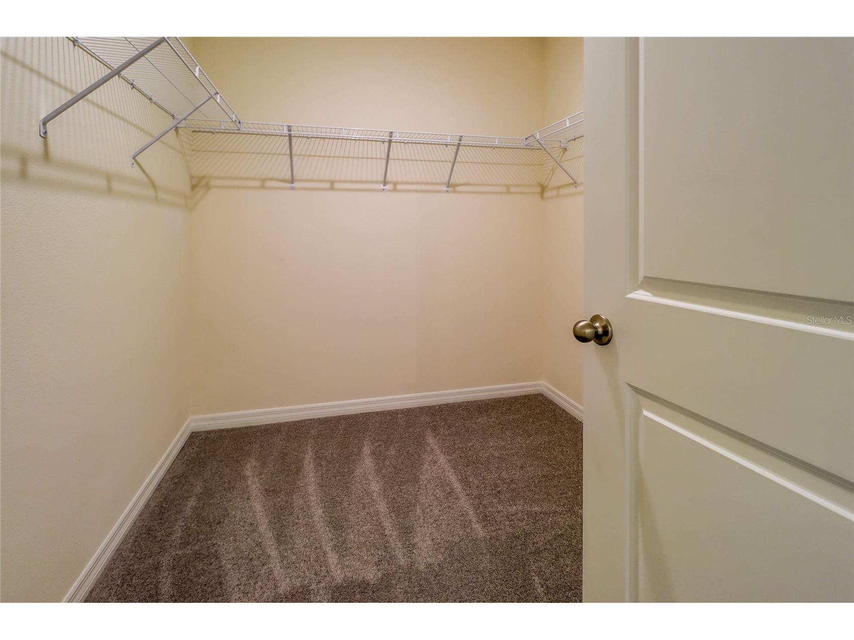 8934 Forge Breeze Loop Wesley Chapel FL 33545 TB8516730 image33