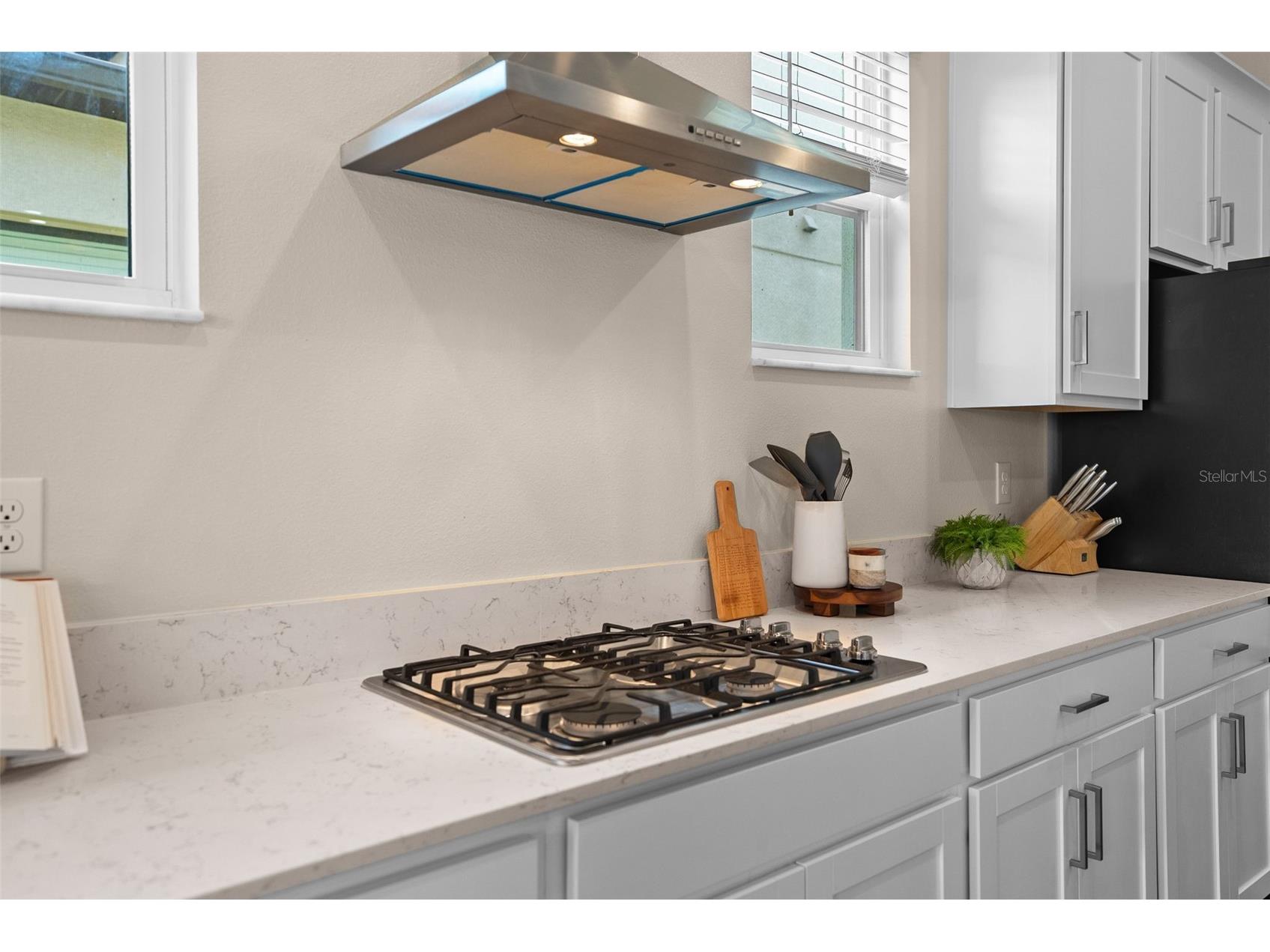 8934 Little Bluestem Drive Land O Lakes FL 34637 TB8492723 image18