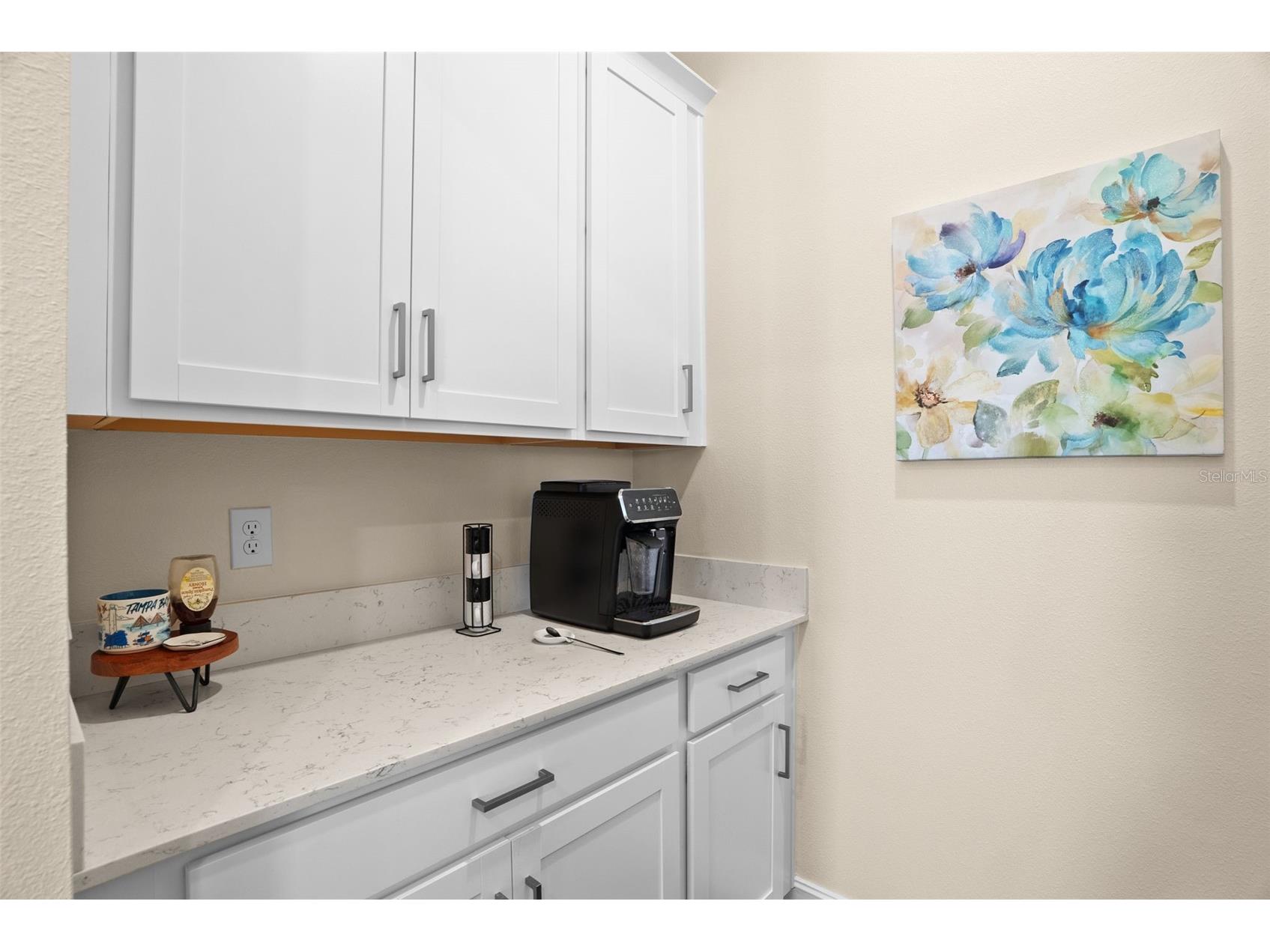 8934 Little Bluestem Drive Land O Lakes FL 34637 TB8492723 image19