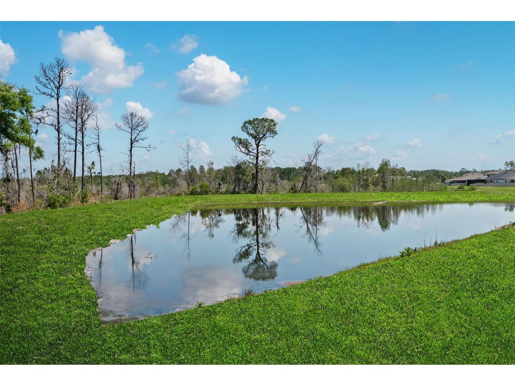 8934 Little Bluestem Drive Land O Lakes FL 34637 TB8492723 image5