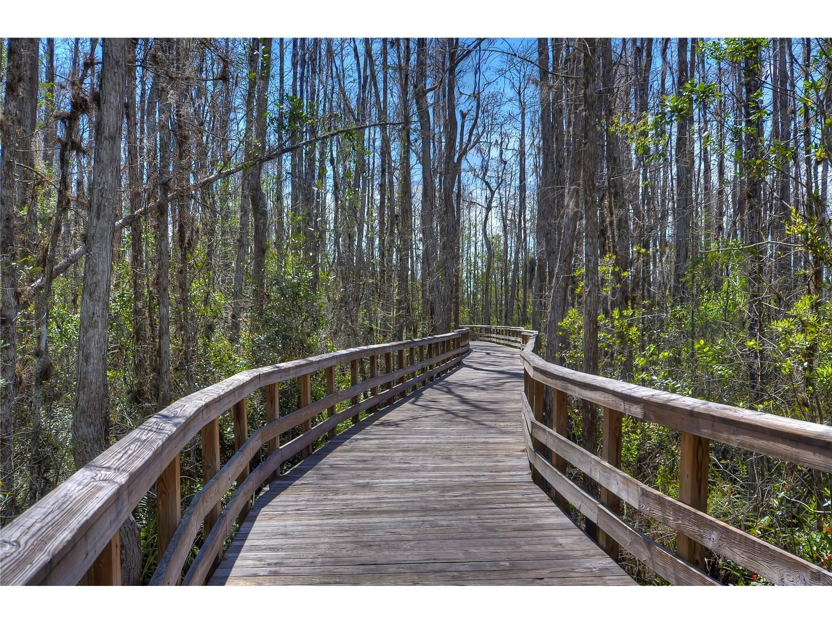 8934 Little Bluestem Drive Land O Lakes FL 34637 TB8492723 image51