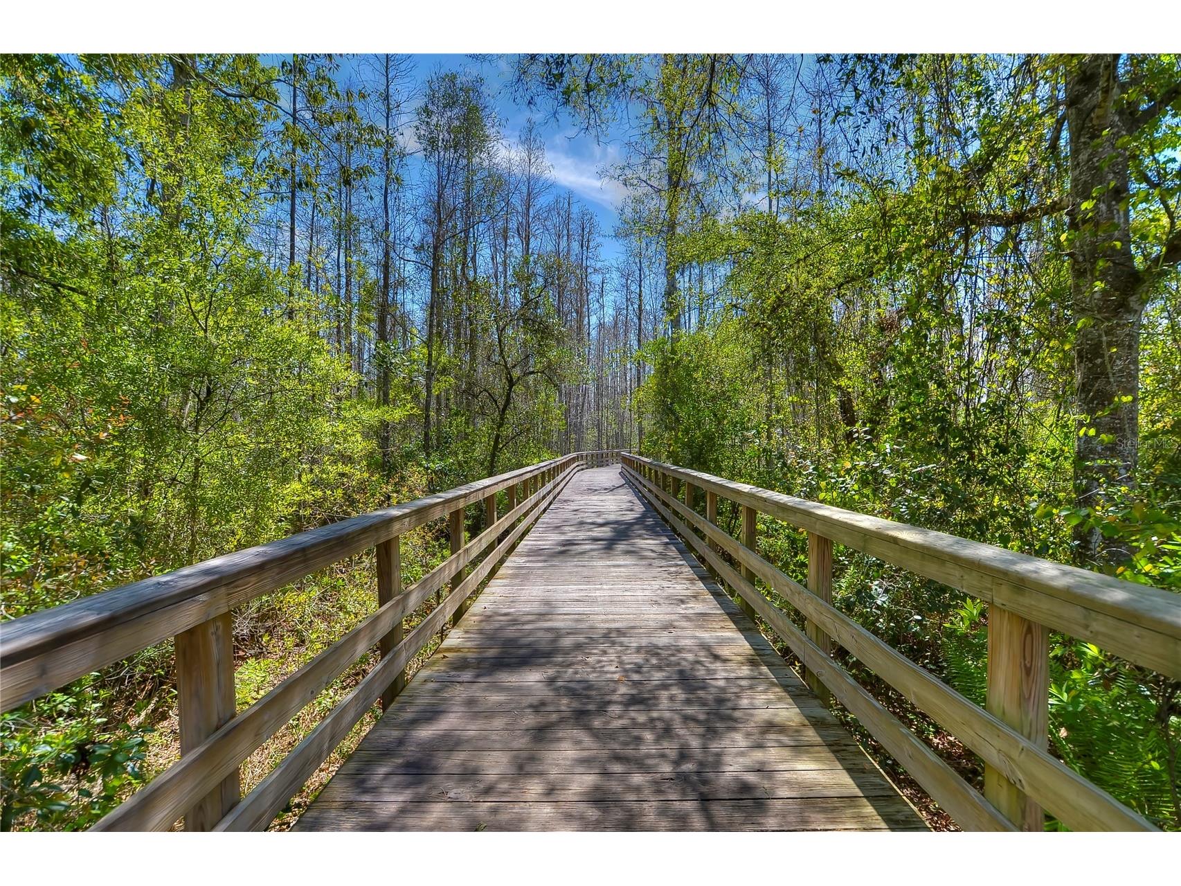 8934 Little Bluestem Drive Land O Lakes FL 34637 TB8492723 image52