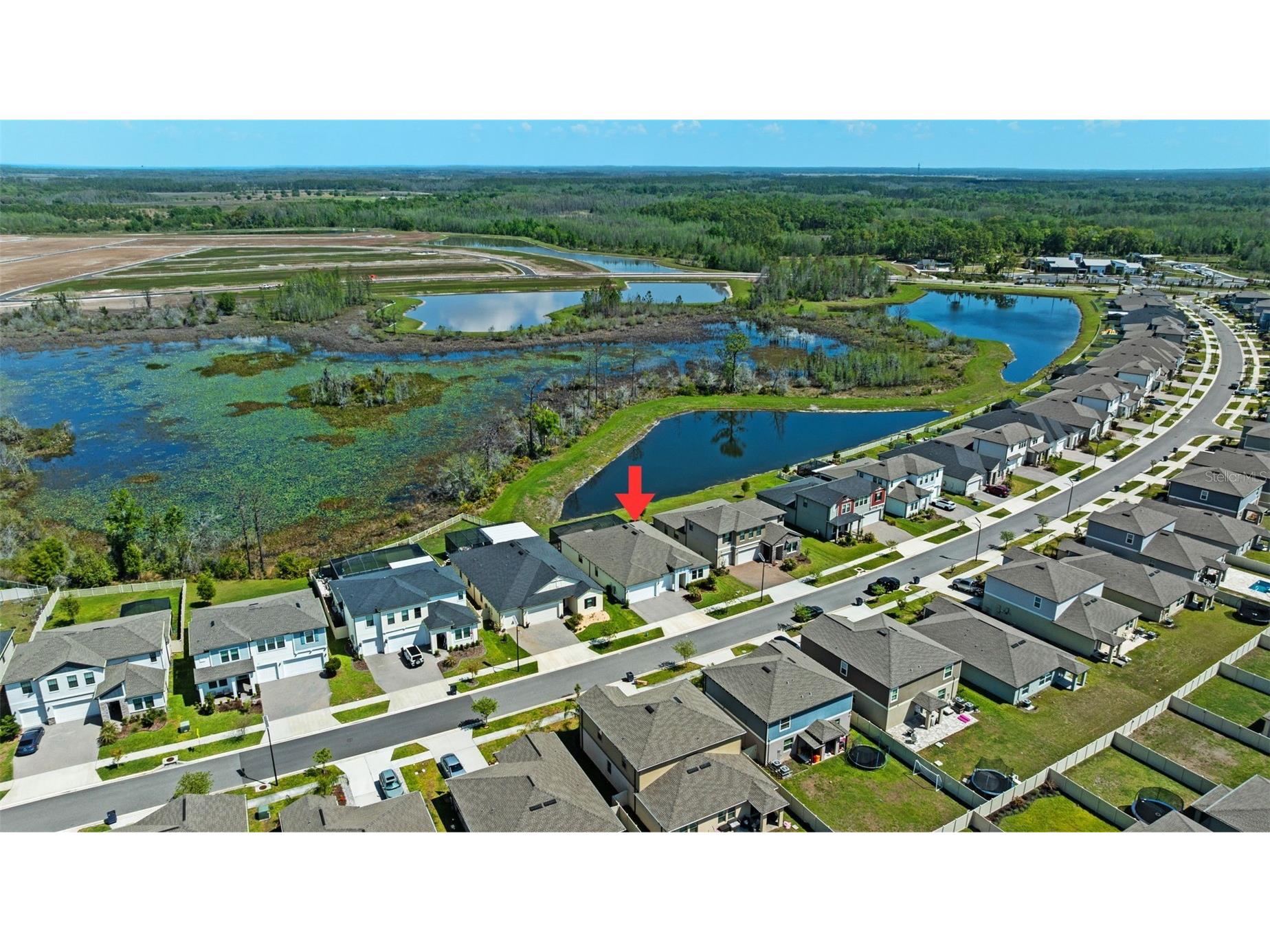 8934 Little Bluestem Drive Land O Lakes FL 34637 TB8492723 image55
