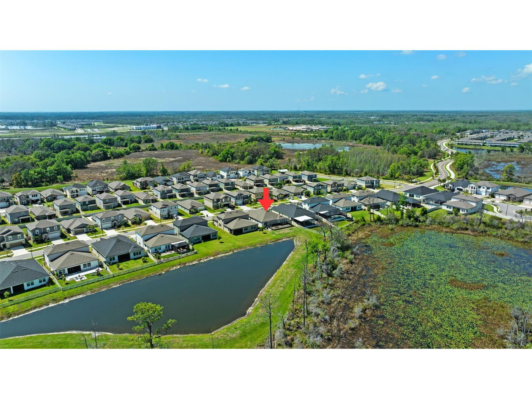 8934 Little Bluestem Drive Land O Lakes FL 34637 TB8492723 image56