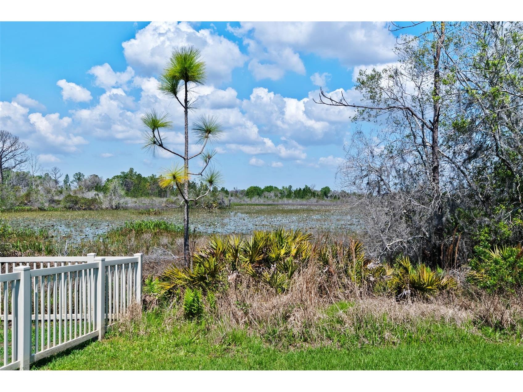 8934 Little Bluestem Drive Land O Lakes FL 34637 TB8492723 image58