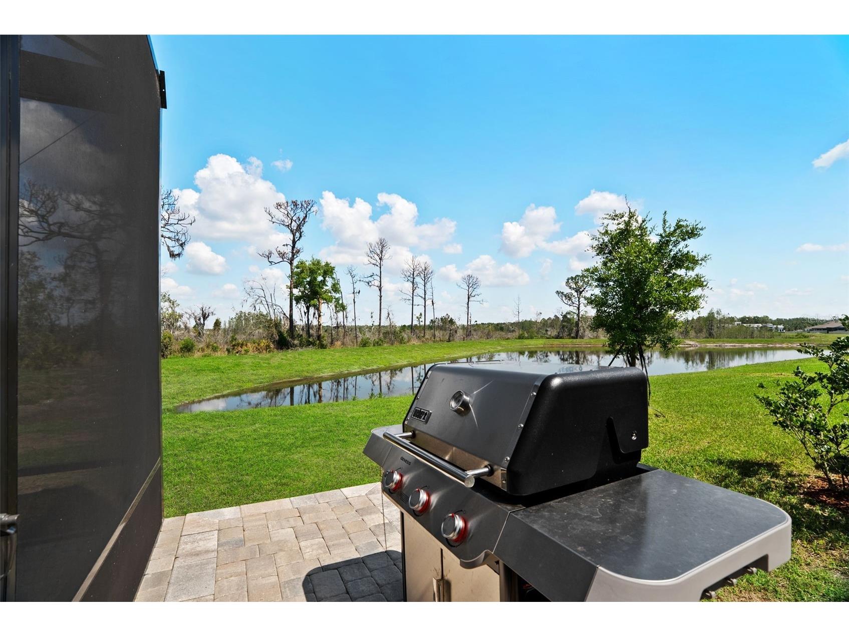 8934 Little Bluestem Drive Land O Lakes FL 34637 TB8492723 image59