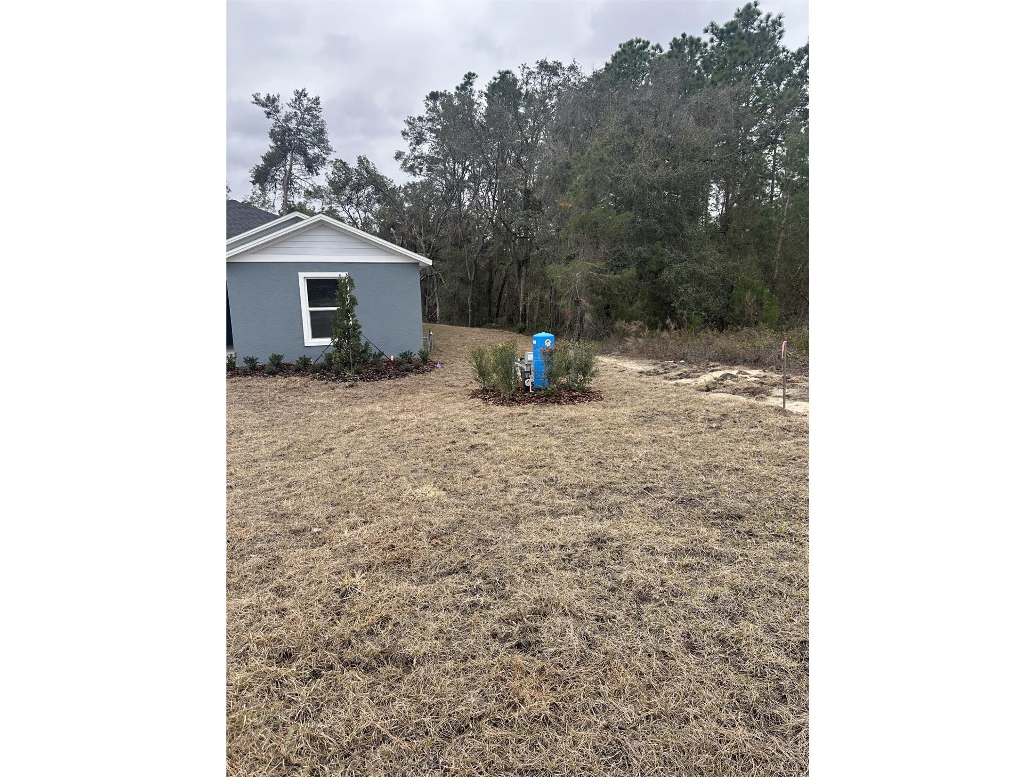 8934 SW 135th Street Ocala FL 34473 OM718950 image3