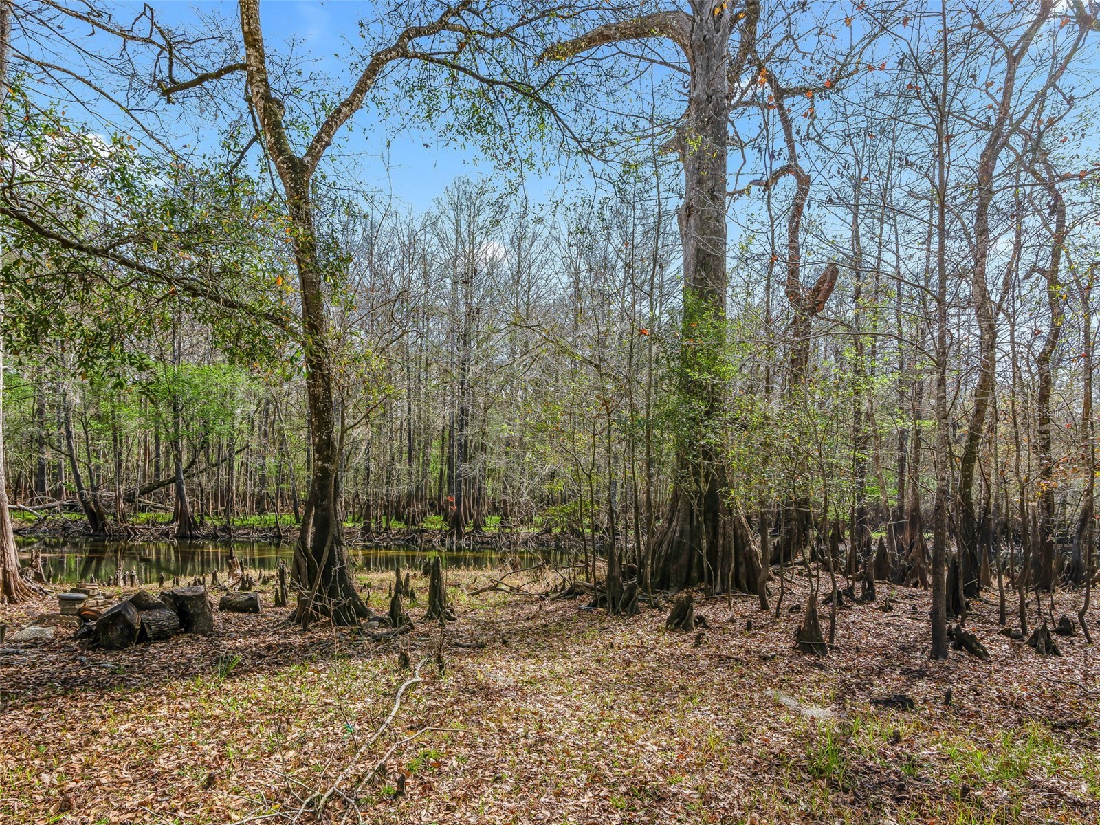 8935 Cr 647s Bushnell FL 33513 G5108564 image21