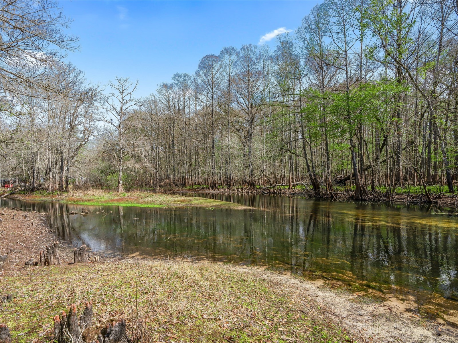 8935 Cr 647s Bushnell FL 33513 G5108564 image22
