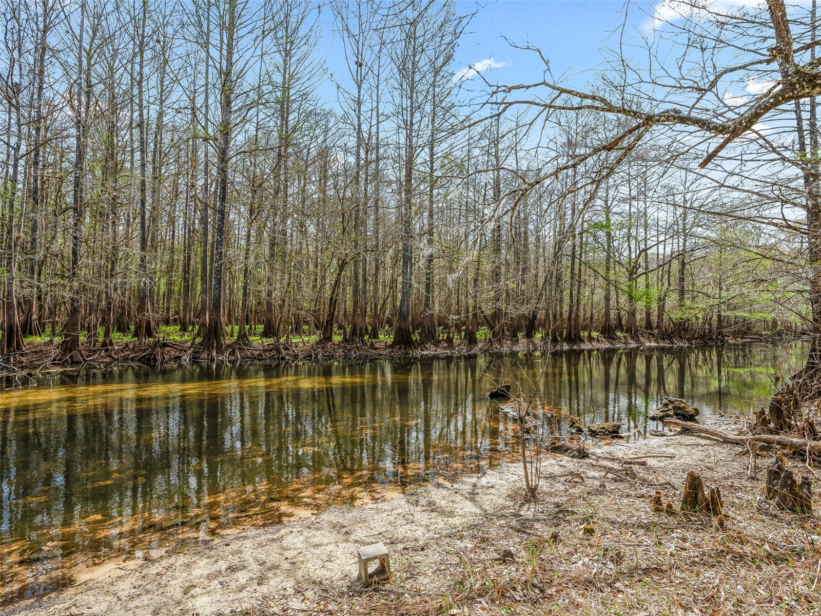 8935 Cr 647s Bushnell FL 33513 G5108564 image23