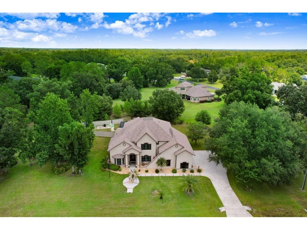 8935 Woodleaf Boulevard Wesley Chapel FL 33544 TB8411136 image1