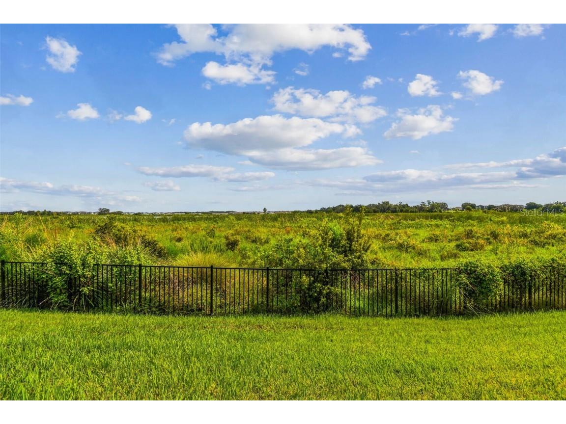 8936 Sanders Tree Loop Wesley Chapel FL 33545 O6299274 image85