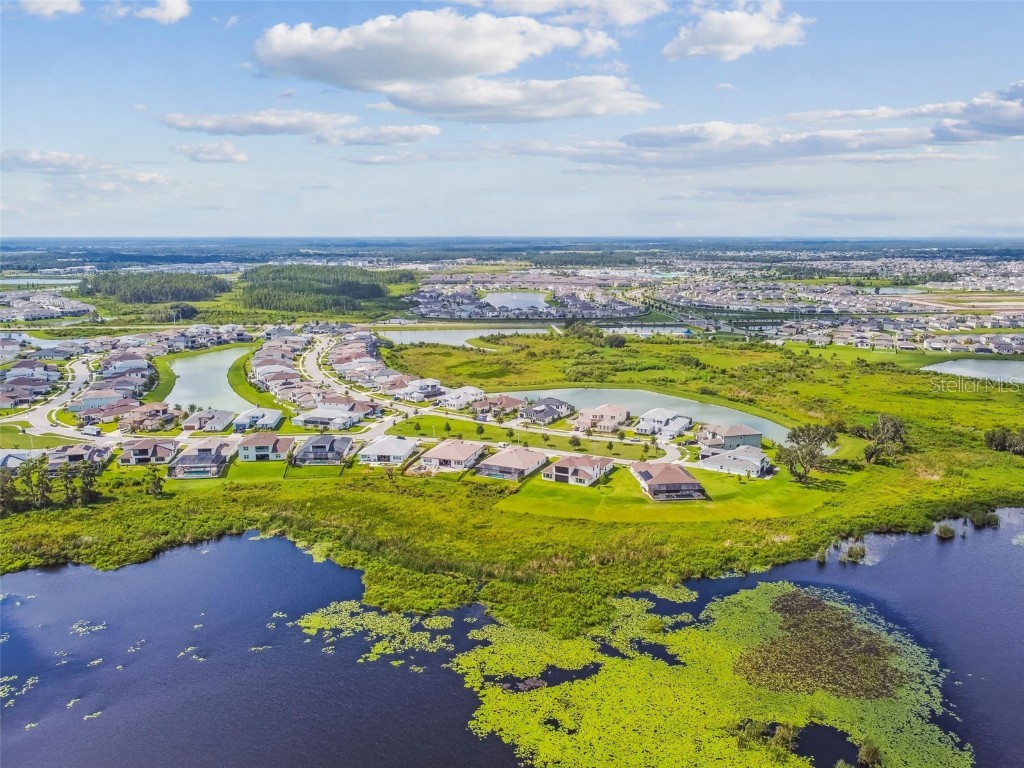 8936 Sanders Tree Loop Wesley Chapel FL 33545 O6299274 image92