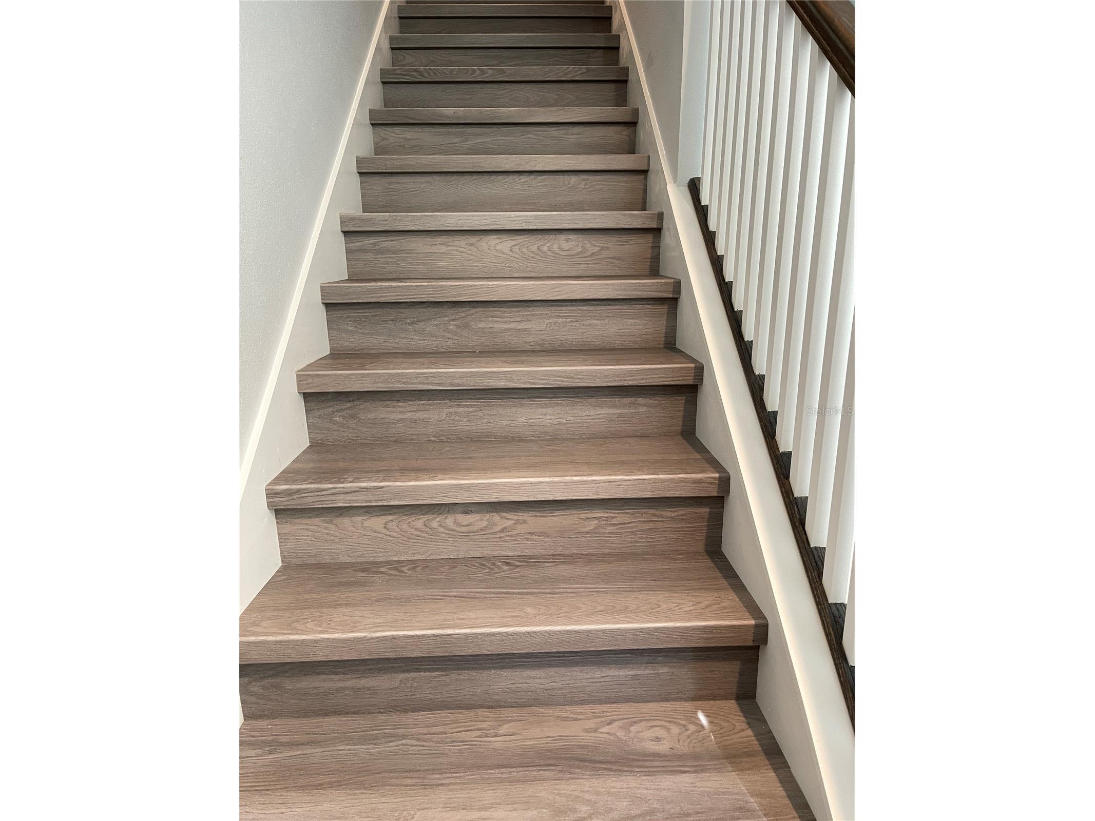 8937 Matriarca Alley Windermere FL 34786 O6347945 image7