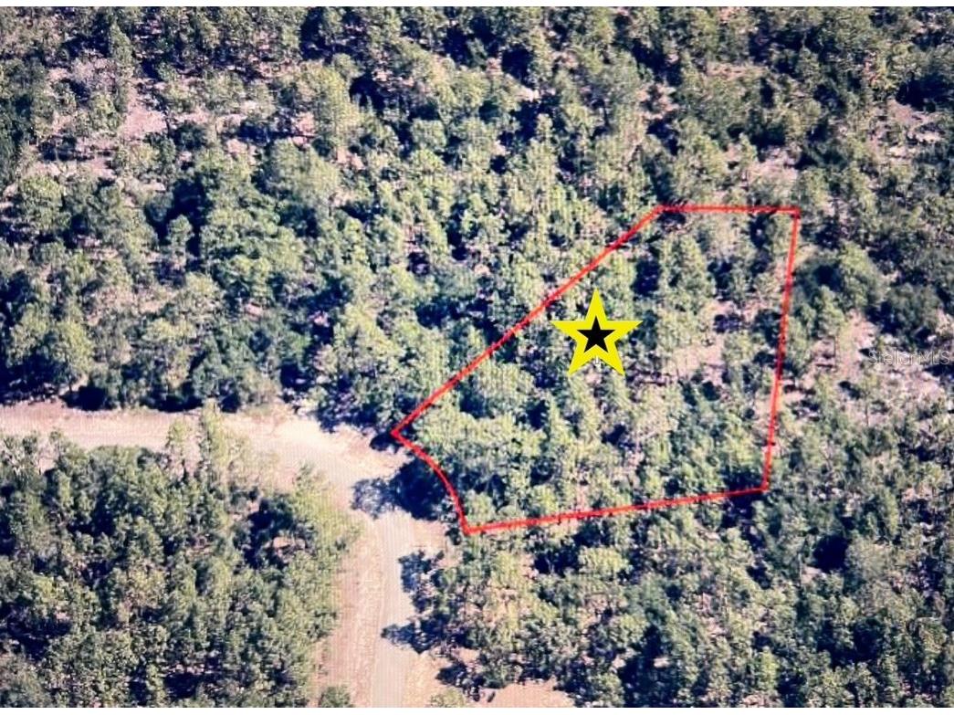 8937 N Farrington Drive Citrus Springs FL 34433 OM693764 image1