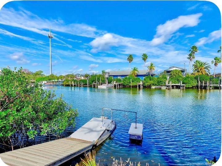 8937 Rocky Creek Drive Tampa FL 33615 TB8528880 image36