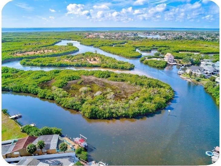 8937 Rocky Creek Drive Tampa FL 33615 TB8528880 image39