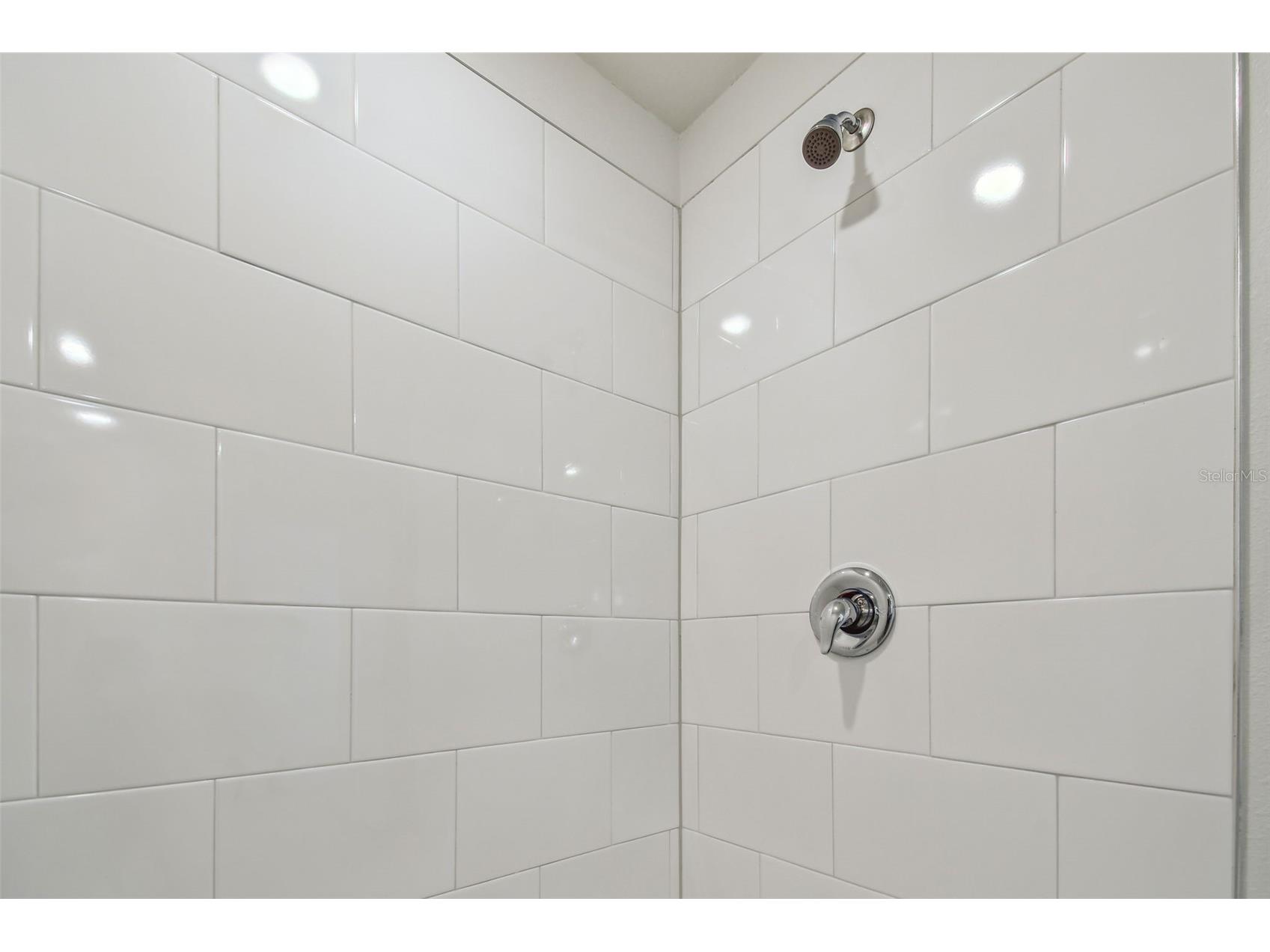 8938 Gallantree Place Land O Lakes FL 34637 TB8517356 image15