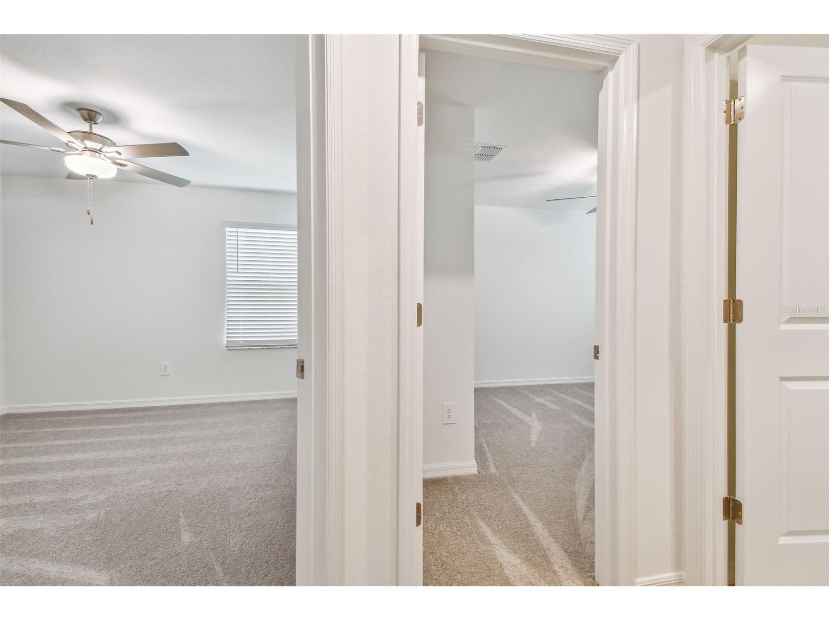 8938 Gallantree Place Land O Lakes FL 34637 TB8517356 image17