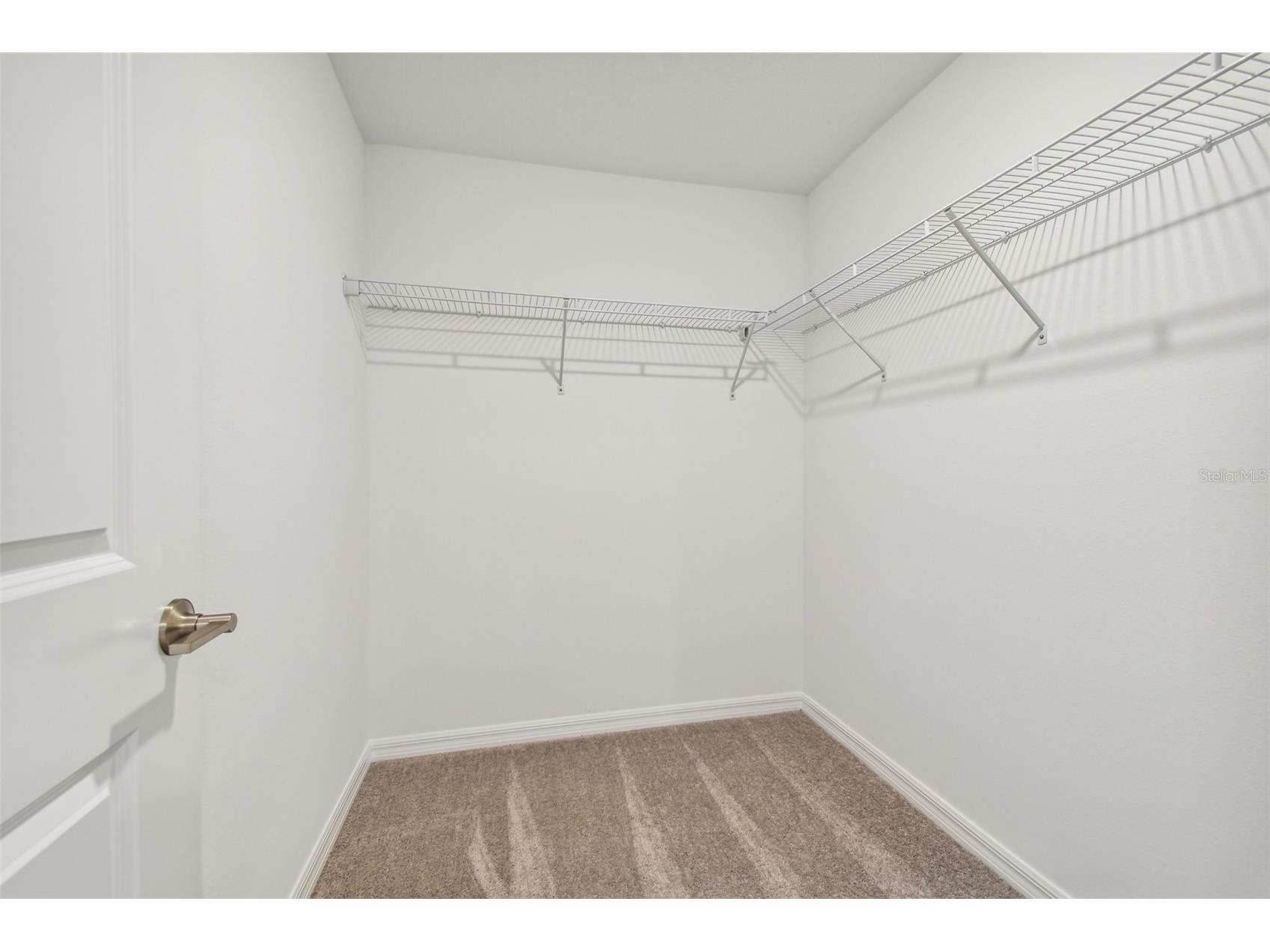 8938 Gallantree Place Land O Lakes FL 34637 TB8517356 image20