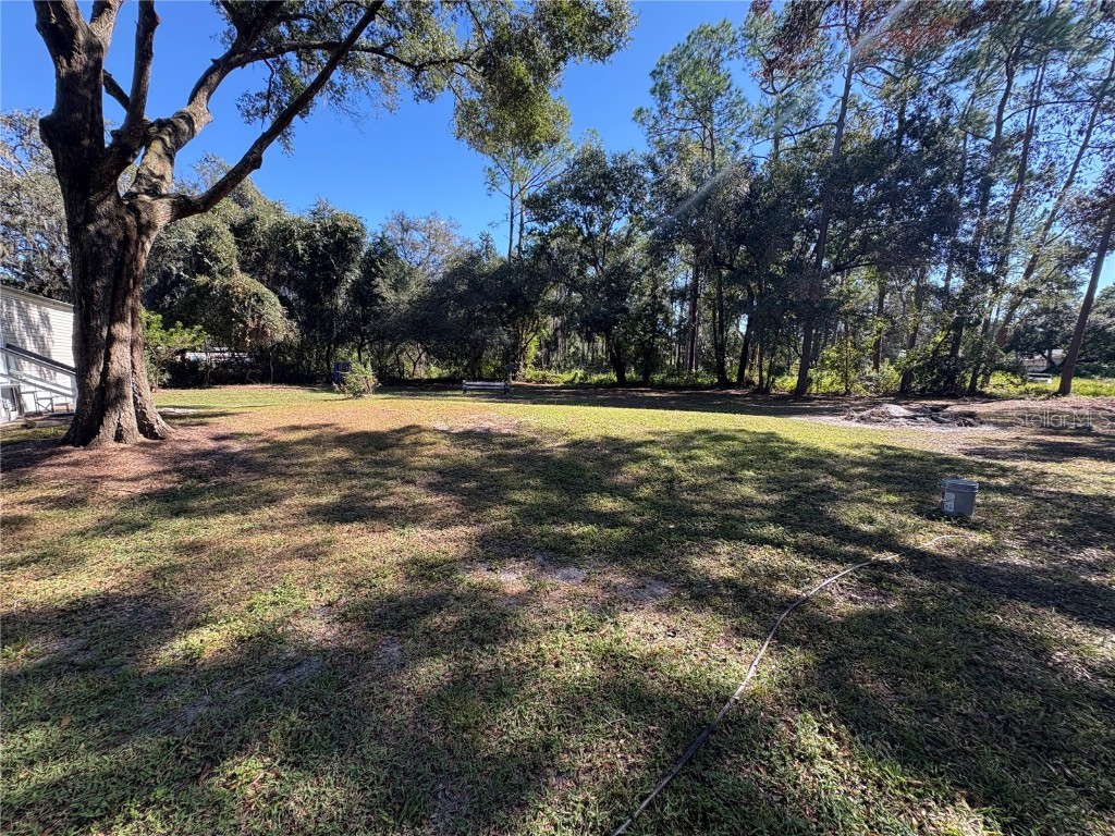 8939 Beverly Hills Lakeland FL 33809 B4902092 image3